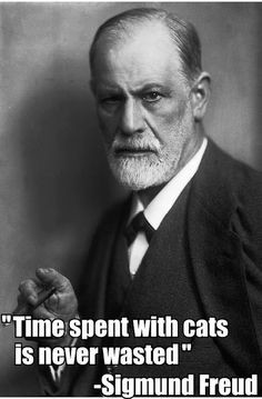 ... more #quotes @ http://quotes-lover.com/ Tags: #Cats, #Funny, #Time
