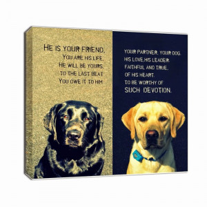 Pet Quotes