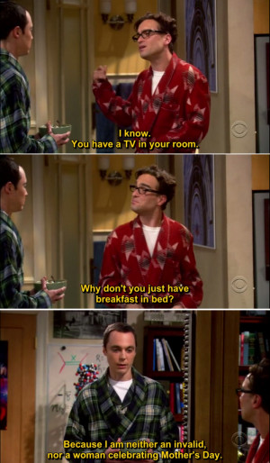 The Big Bang Theory Quote