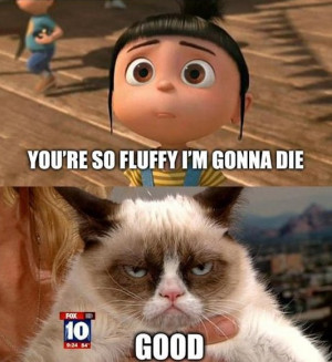 Grumpy-cat-MEME-and-LOL.jpg