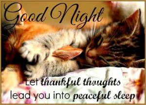 189222-Cute-Goodnight-Quotes.jpg