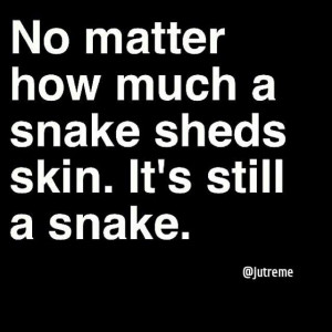 ... No matter how much a snake sheds the skin. It's still a snake