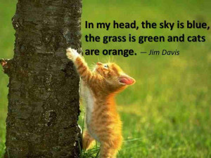 Cat Quotes Jim Davis