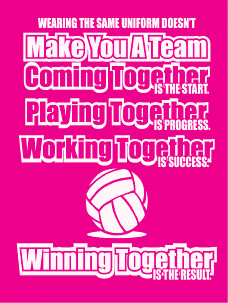 volleyball motivational team quotes