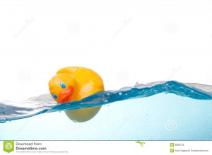 Stock Photo Rubber Duck Water