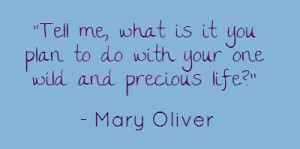 Wonderful Mary Oliver quote to use with volunteers and board members