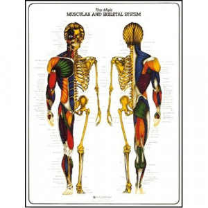 Funny Quotes Contact Dmca...