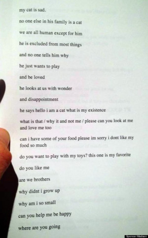 Sad Cat Poem Will Make You Laugh And Cry Simultaneously (PHOTO)