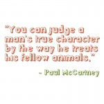 Do you have a favorite vegetarianism quote? Add it in the comments ...