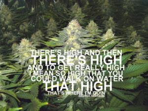 Funny Weed Quotes Tumblr