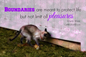 Wisdom Wele Enlighten And