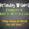 ... Birthday Card Messages, Wishes, Sayings, and Poems: What to Write