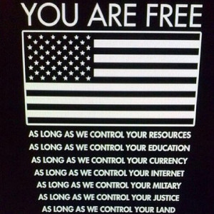 funny-picture-usa-flag-freedom-life-control