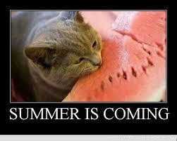 ... Summer Quotes Scared Cat From Summer Season... Summer Is Coming