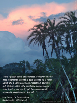 Rain forest sunset, from Luis Devin's anthropological research in ...