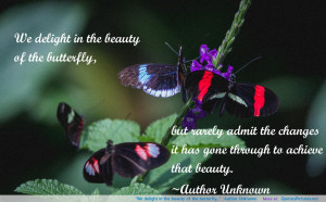 We delight in the beauty of the butterfly…” -Author Unknown ...