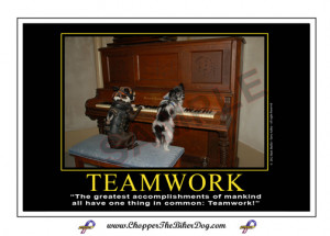 Teamwork Dog Images Thing in common: teamwork!