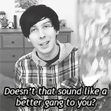 ... funny cute YouTube cats Youtuber gang amazingphil phil lester hamazing