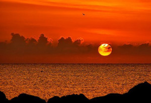 ocean, romantic, sand, sun, sunset