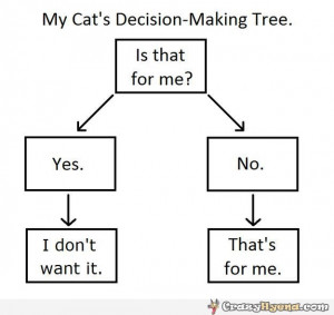 BLOG - Funny Quotes Decisions