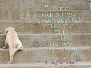 Funny Quotes a Separate Peace