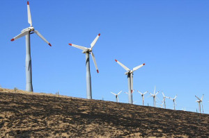Keys Desert Wind Farm Nature