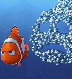 Finding Nemo More