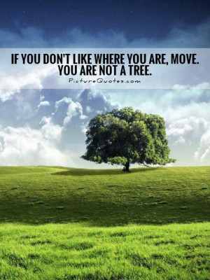 Move On Quotes Tree Quotes Time To Move On Quotes Move Quotes