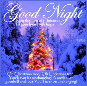 Good Night Joy of Christmas