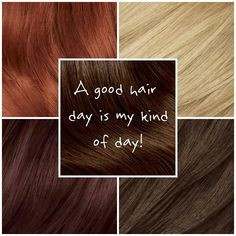 hair color hair ideas colors haircolor colors quotes hair colors ...
