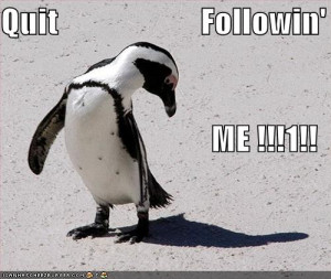 funny penguin tumblr