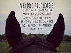 ... Quotes #Barrel Racing #Team Roping #Bull Riding #Breakaway #Cowboy