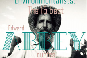 inspirational life environmentalists the 15 best edward abbey quotes ...