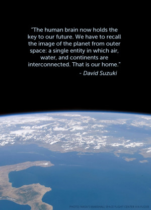 Quotes From David Suzuki