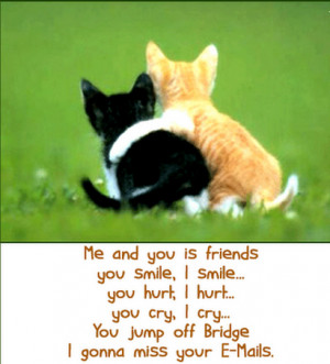 Funny Friendship Quotes and Sayings with Cute Cats Pictures for ...