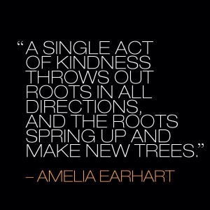 ... Inspiration Quotes, Compass Quotes, Acting Of Kind, Amelia Earhart