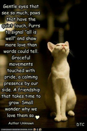 Cat poem.