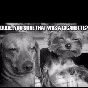 Cheech and Chong. . .