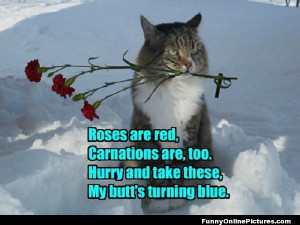 Funny cat picture with a cute little Valentine poem!