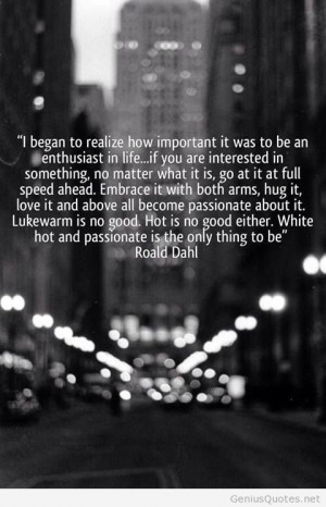 Enthusiast in life quote