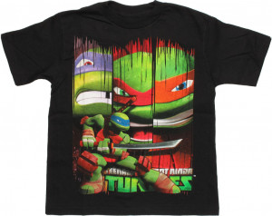 Ninja-Turtles-Leonardo-Banners-Juvenile-T-Shirt-1024x814.jpg