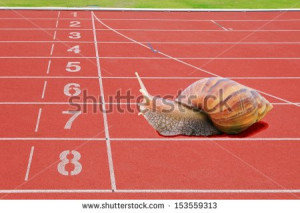 Snails race on sports track near the finish line - stock photo