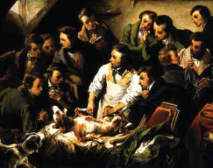 ... for testing being offered marshmallows in an animal research facility