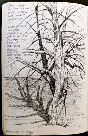 Now, draw another tree -- this time in pencil. Draw a frame around it ...