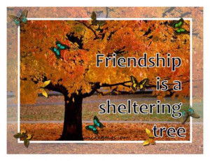 more images from friendship quotes friendship is a sheltering tree