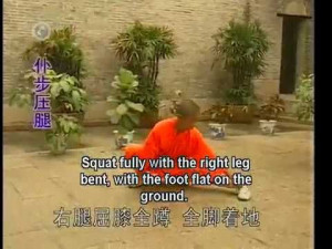 Shaolin Kung Fu Sayings