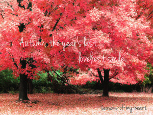 tagged as autumn fall season smile quote
