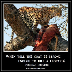 World of Proverbs - Famous Quotes: When will the goat be strong enough ...