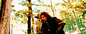 ... breaks my heart just thinking about it.And then, Boromir comes into