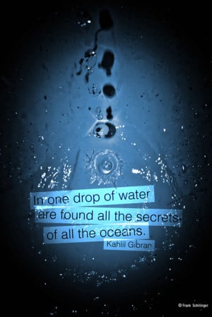 in one drop of water are found all the secrets of all the oceans ...